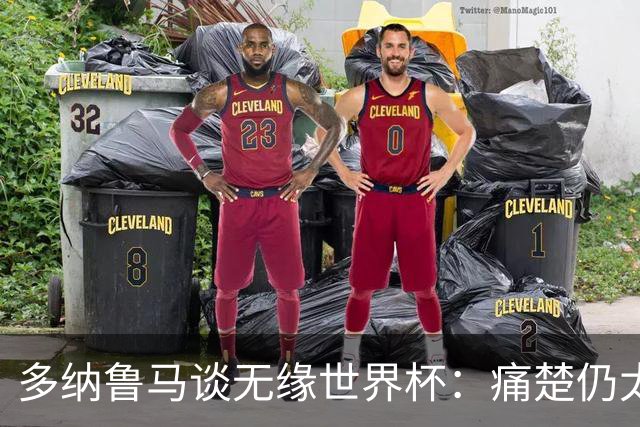 多纳鲁马谈无缘世界杯：痛楚仍太强烈，曼奇尼会帮我们
